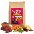 Canadoo Adult Hypoallergen Wild/Lachs mit Süßkartoffel & Maulbeere